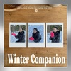 image:imageFunky Junque Fuzzy Mittens for Women Faux Fur Cold Weather Gloves Fleece Lined Cute Furry Fluffy Warm Winter FashionCandy Pink