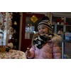 image:imageFunky Junque Girls Winter Hat amp Scarf Sets  Pom Beanie Ponytail Beanies or Headband with Matching Infinity Scarf Ages 15Multi Color Stripes  Black