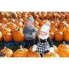 image:imageFunky Junque Kids Matching Neck Warmer Scarf Soft Fuzzy Cuff Gloves Mittens Ribbed Knit Pom Pom Beanie Bundle Boy GirlBlack Faux Fur Pom