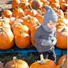 image:imageFunky Junque Kids Matching Neck Warmer Scarf Soft Fuzzy Cuff Gloves Mittens Ribbed Knit Pom Pom Beanie Bundle Boy GirlHeather Grey