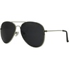 Silver Frames/Smoke Lenses