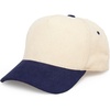 Navy/Beige