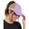 Beige Mesh - Lavender (Distressed)