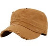 Distressed Camel
