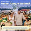 image:imageFunky Junque Paper Straw Sun Hat Packable Wide Brim Ponytail Hole  Lightweight paper sun hat with ponytail slot for the beach pool music festivals gardening amp boatingResting Beach Face