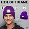 image:imageFunky Junque LED Light Beanie  Light GreyPurple