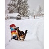 image:imageFunky Junque Exclusives Child Toddler Beanie Warm Winter Kids Knit Skull Cap HatRed