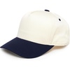 Navy/Beige