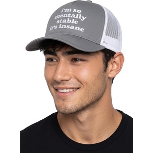 image:imageFunky Junque Vintage Trucker Hat Embroidered American Flag CapIm So Mentally Stable Its Insane  Grey
