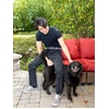 image:imageFunky Junque Mens Braided Stretch Belt Golf Elastic RopeGrey