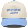 Professional Yapper - Light Blue/Beige