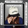 image:imageFunky Junque Adult Trucker Snapback Hat 2Tone Baseball CapBirdies Upside Down  BlackBeige