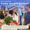 image:imageFunky Junque Panama Sun Hat Wide Brim Packable Straw Beach CapHere Comes the Sun