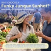 image:imageFunky Junque Panama Sun Hat Wide Brim Packable Straw Beach CapRose All Day