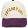 image:imageFunky Junque Upside Down City 2 Tone Trucker Hat Embroidered Baseball CapLos Angeles  PurpleBeige