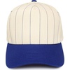 image:imageFunky Junque Trucker Snapback HatPinstripe  Royal BlueBeige