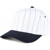 Pinstripe - Navy/White